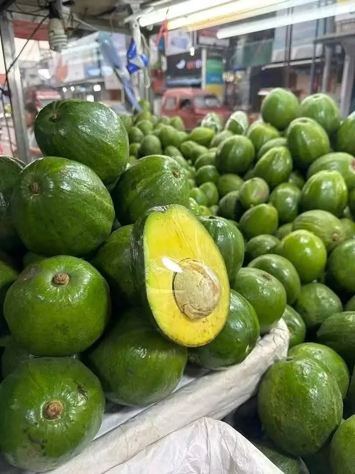 Matunda aina Zote