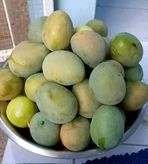 Matunda aina Zote